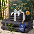 DECOLURE 100% Viscose Derived from Bamboo Sheets Queen Size by DECOLURE