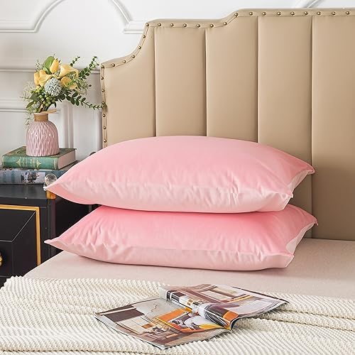 H HOUSEHOLD Set of 2 Velvet Queen Size Pillowcase, Soft and Cozy Luxury Fuzzy by HHOUSEHOLD