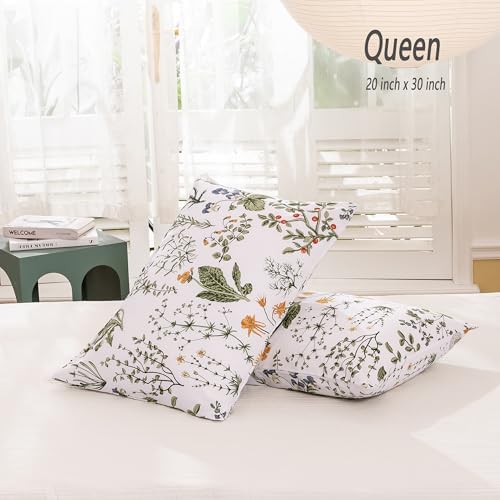 ECOCOTT 2 Pack Pillowcase Queen Size - Image 2