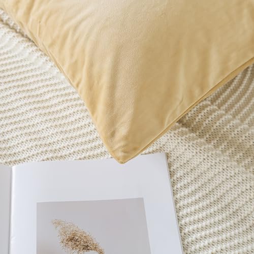 H HOUSEHOLD Set of 2 Velvet Queen Size Pillowcase, Soft and Cozy Luxury Fuzzy - Image 3