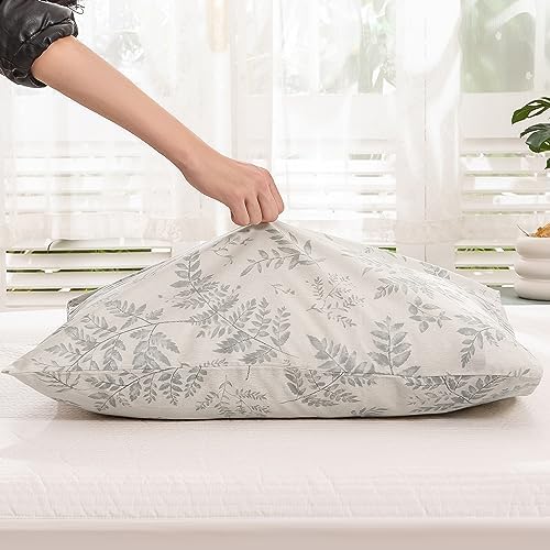 ECOCOTT 2 Pack Pillowcase Standard Size - Image 4