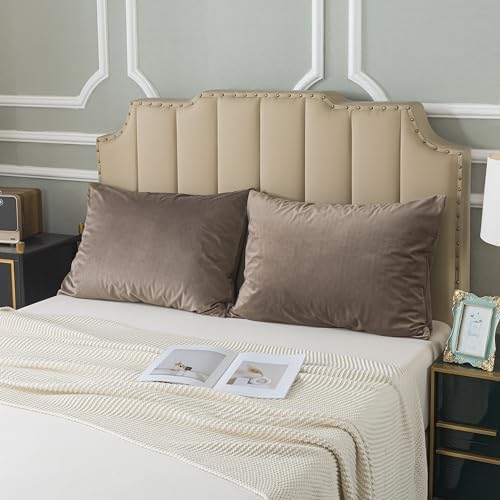 H HOUSEHOLD Set of 2 Velvet King Size Pillowcase, Soft and Cozy Luxury Fuzzy by HHOUSEHOLD