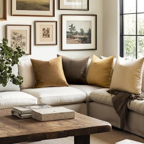MIULEE 24x24 Inch Pack of 2 Euro Velvet Throw Pillow Covers Chocolate - Image 2