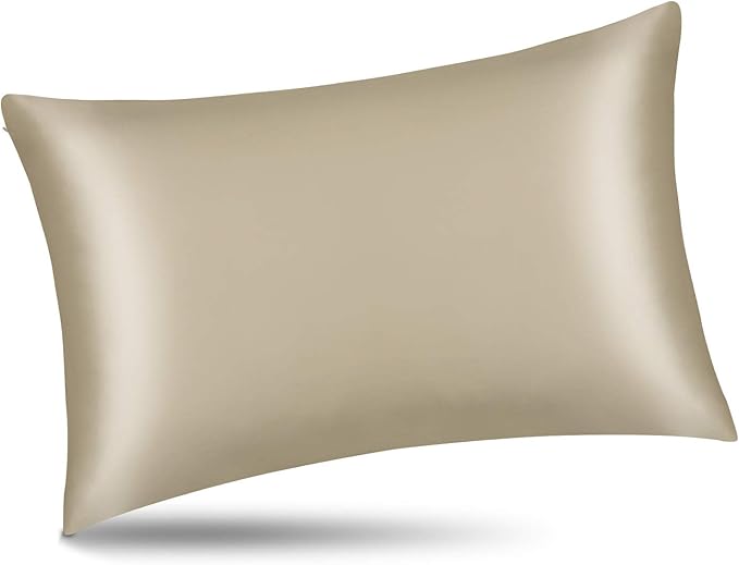 ALASKA BEAR Silk Pillowcase for Hair and Skin, Set of 2 Pure Genuine 22 Momme Mulberry Silk Pillow Cases Standard Size for Bliss Sleep Better Than Poly Satin, Zipper Closure(2pc, Beige)