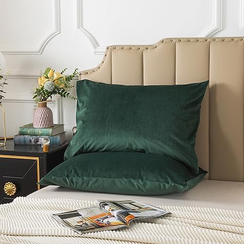 H HOUSEHOLD Set of 2 Velvet King Size Pillowcase, Soft and Cozy Luxury Fuzzy - Image 2