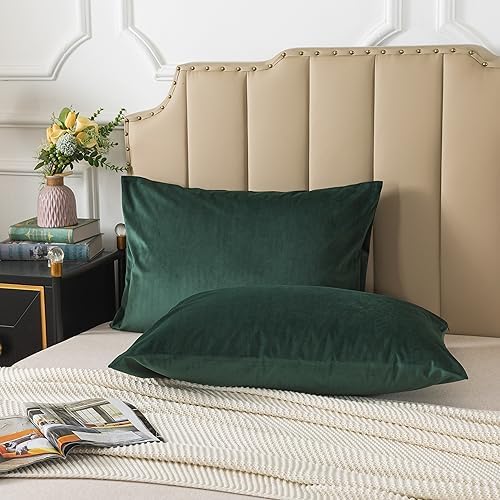 H HOUSEHOLD Set of 2 Velvet King Size Pillowcase, Soft and Cozy Luxury Fuzzy - Image 3