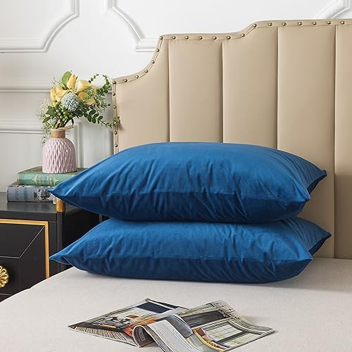 H HOUSEHOLD Set of 2 Velvet Queen Size Pillowcase, Soft and Cozy Luxury Fuzzy by HHOUSEHOLD