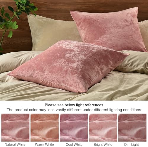 PHF Truly Velvet Euro Sham, No Insert, 2 Pack Color Gradient Euro Throw Pillow - Image 6