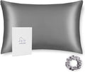 ALASKA BEAR Natural Silk Pillowcase, Hypoallergenic, 19 Momme, 600 Thread Count 100 Percent Mulberry Silk, Standard Size with Hidden Zipper (1pc, Iron Grey)