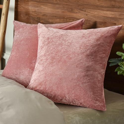 PHF Truly Velvet Euro Sham, No Insert, 2 Pack Color Gradient Euro Throw Pillow by PHF