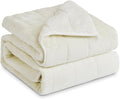 Sherpa Fleece Adult Weighted Blanket, 15 Pounds Dual Sided Soft Plush Blanket for Couch Bed Sofa, Heavy Thick Blankets with Glass Beads Great for Sleep, 60 x 80 inches, Cream White on Both Sides