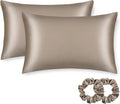ALASKA BEAR Silk Pillowcase for Hair and Skin, Set of 2 Pure Genuine 22 Momme Mulberry Silk Pillow Cases King Size for Bliss Sleep Better Than Poly Satin, Zipper Closure(2pc, Taupe)