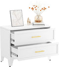 Metal Dressers, White Small Dresser for Bedroom, 24.76" H Dressers & Chests of Drawers, Dresser and Nightstand Sets for Living Room, Entryway, Hallyway (White, 2 Drawers)