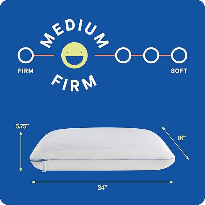 SEALY Dreamlife Standard Size Memory Foam Cooling Pillow with SealyChill Cooling Gel, Removable Machine-Washable Cover, Designed and Built in The USA