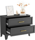 Metal Dressers, Black Small Dresser for Bedroom, 24.76" H Dressers & Chests of Drawers, Dresser and Nightstand Sets for Living Room, Entryway, Hallyway (Black, 2 Drawers)