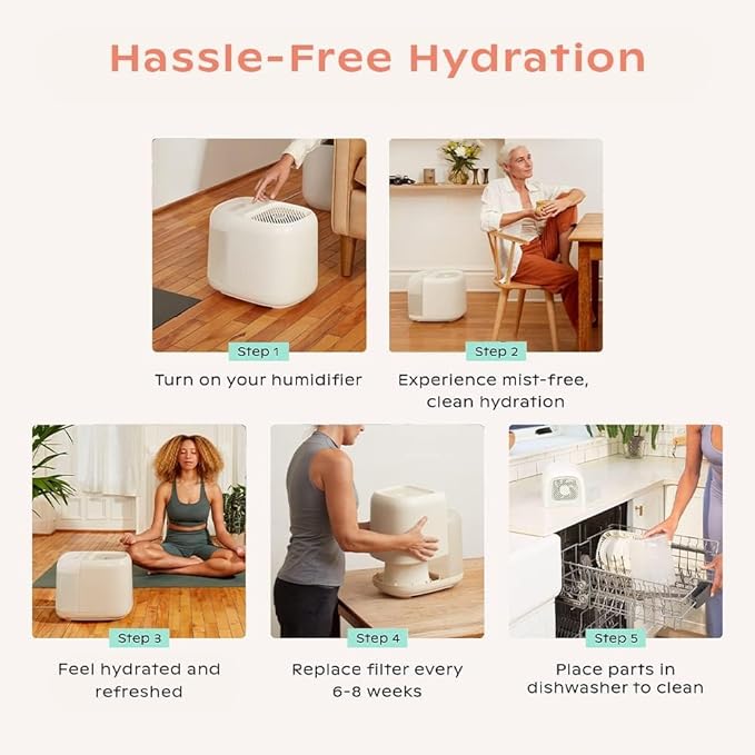 Canopy Large Room Humidifier, Cream, Large Living Space, 36HR Run Time, 5.5L Tank - Includes Canopy Humidifier Plus, Diffusion Well, Unwind Aroma, Filter, Power Cord & Adapter