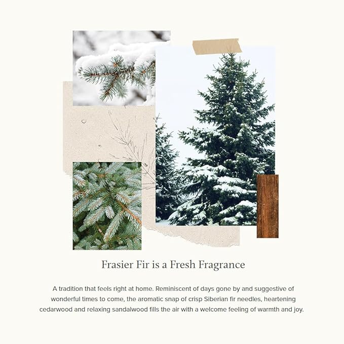 Thymes Frasier Fir Votive Candle Set of 3 - Scented Candles for Home - Luxury Home Fragrance Gifts for Women & Men - Home Decor (Pack of 3-2 Oz)