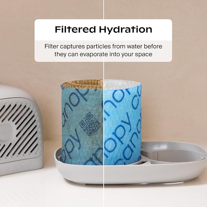 Canopy Bedside Humidifier 2.0, Moonstruck, 36 HR Run Time, 2.5L Capacity - Reading Light & White Noise - Alleviate Symptoms of Allergies, Cold, Dry Skin - Humidifier, Filter, Power Cord & Adapter