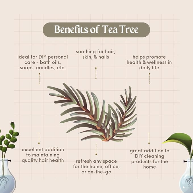Tea Tree (Australia) Essential Oil - 16 fl oz (473 ml) Amber Glass Bottle w/Cap - 100% Pure Essential Oil - GreenHealth