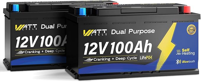 12V 100Ah Bluetooth LiFePO4 Battery, [Cranking &Deep Cycle] Lithium Battery with Self-Heating, Built-in 200A BMS, Perfect for Trolling Motor, RV, Marine, Boat(2 Pack)