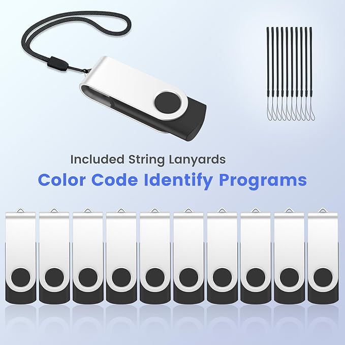 ABLAZE Flash Drives 2GB 20 Pack, USB 2.0 Thumb Drive Bulk with Lanyards Swivel Memory Stick U Disk 2GB Pendrive USB Pack (Black)