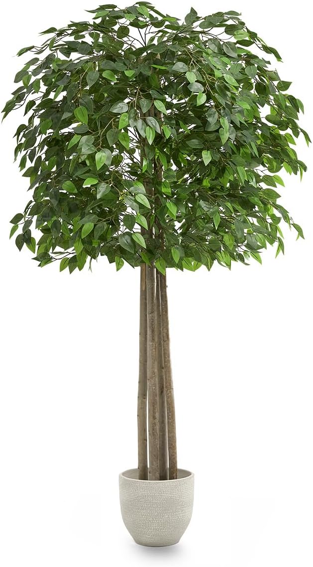 Maia Shop Decorative Artificial Plants - Artificial Ficus Tree 6.5ft Natural Trunks, Big Artificial Plant, Home Decor, Artificial Tree