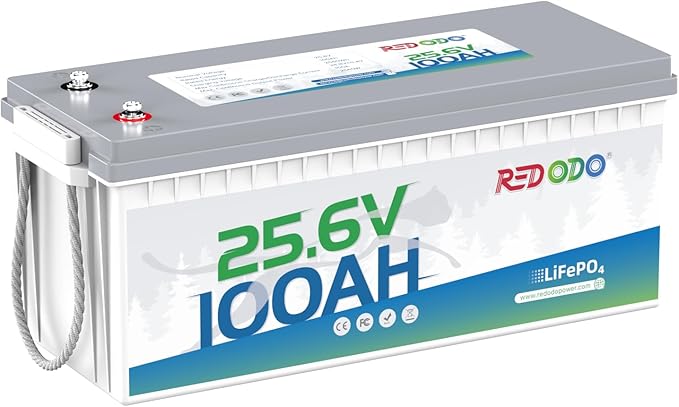 Redodo 24V 100Ah LiFePO4 Lithium Battery, Max. 2560W Power Output, Built in 100A BMS, 4000-15000 Deep Cycles & 10-Year Lifetime, Perfect for RV, Marine, Trolling Motor, Solar Off-Grid System