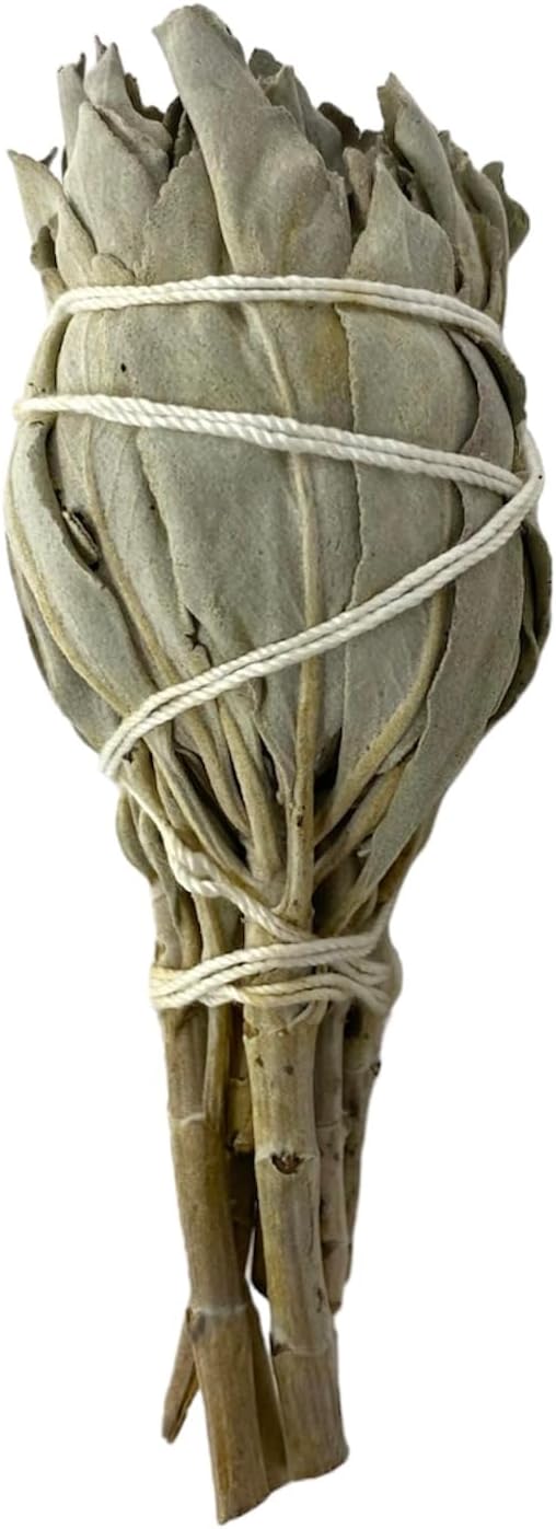NessaStores 1 California White Sage Smudge Stick, 3 to 4 Inch Hand Tied, All Natural for Home Cleansing, Stress Relief, & Clearing Negative Energy JC-005