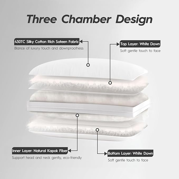 Globon Luxury Down Pillow King Size, Firm Hotel Collection Bed Pillow with 100% Cotton Cover, Down Surrounded Feather Pillow, 20x36 Inches (1 Pack)