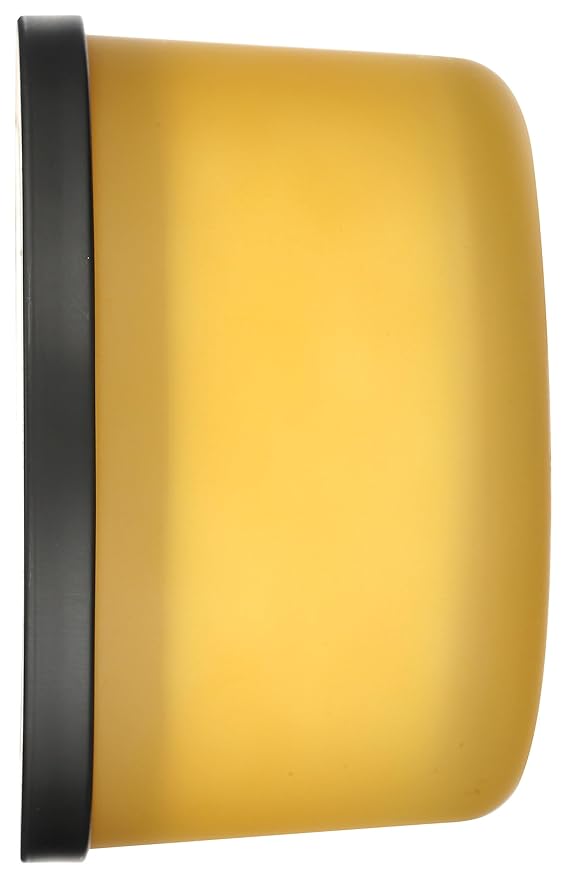 365 by Whole Foods Market, 3-Wick Scented Candle, Yuzu & Prickly Pear, 30 Hour Burn Time, 15 Ounce