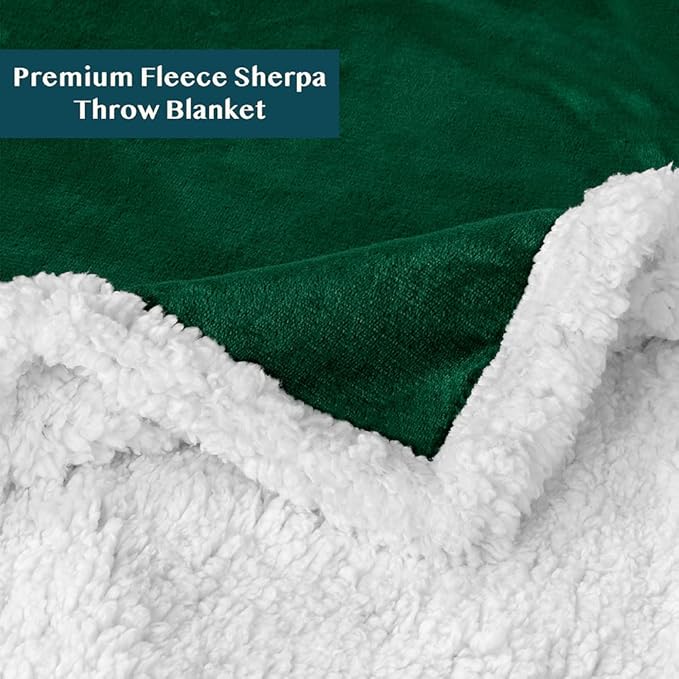 PAVILIA Sherpa Fleece Throw Blanket for Couch, Twin Size, Emerald Green, Plush Soft Fuzzy Sofa Blanket, Cozy Reversible Winter Throw for Women Men, 60x80 Inches