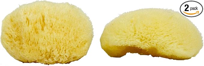 Sea Silk Sponge 2pc Kit, Hand Cut, Medium, Approx. 2-3 inches, Ideal for Cosmetic Use and Facial Cleansing