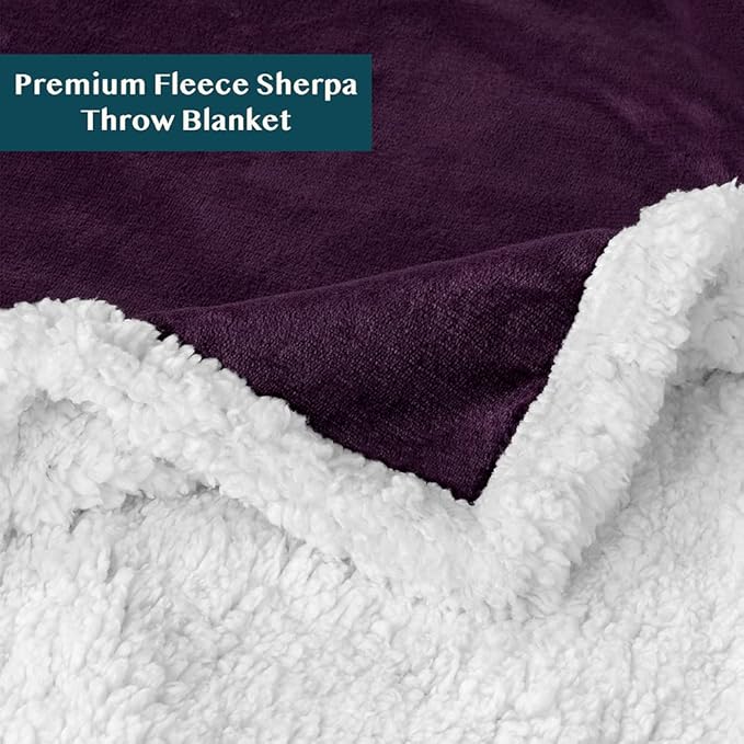 PAVILIA Sherpa Fleece Throw Blanket for Couch, Twin Size, Purple, Plush Soft Fuzzy Sofa Blanket, Cozy Reversible Winter Throw for Women Men, 60x80 Inches
