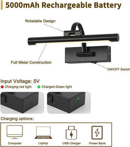 Battery Operated Picture Lights for Wall Black Art Light Wireless Gallery Lights with Timer and Remote 12 Inch 2W Warm White
