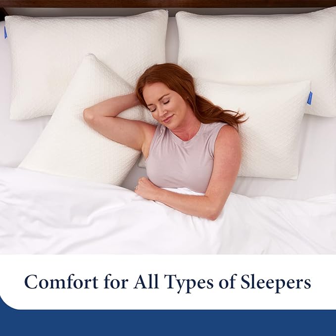 Cosy House Collection 2-Pack Luxury Rayon Derived From Bamboo Shredded Memory Foam Pillow - Adjustable & Removable Fill - Cool & Breathable Cover with Zipper for Side, Back, & Stomach Sleepers (Queen)