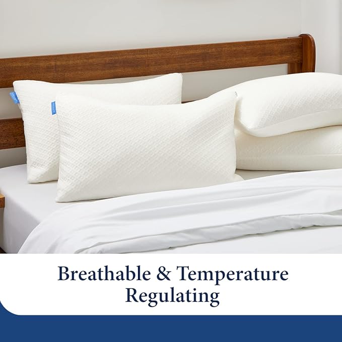 Cosy House Collection 2-Pack Luxury Rayon Derived From Bamboo Shredded Memory Foam Pillow - Adjustable & Removable Fill - Cool & Breathable Cover with Zipper for Side, Back, & Stomach Sleepers (Queen)