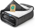Weighted Blanket 25 lbs, 104x88 inches - Thick, Warm Heavy Blanket for Couple, Fluffy Sherpa Fleece for Bed, Soft, Fuzzy King Size