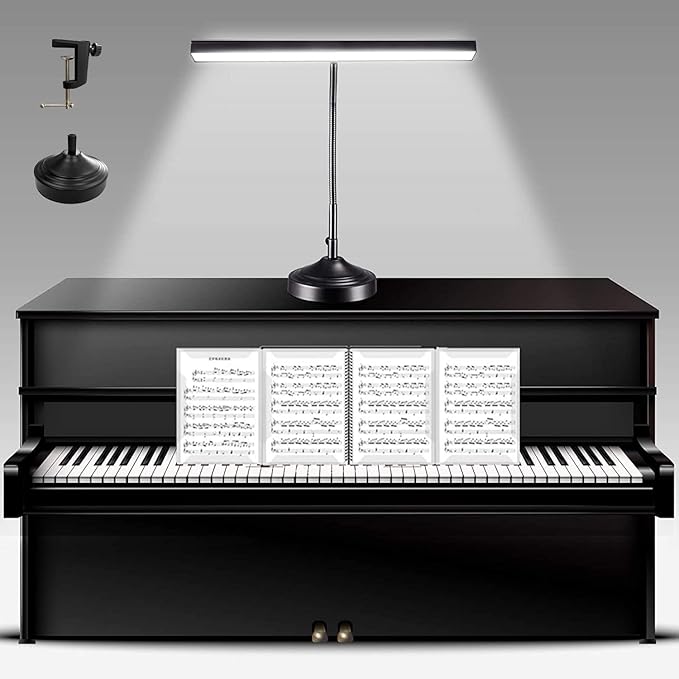 Piano Desk Lamp, 2-in-1 LED Piano Light for Upright Digital Grand Piano, 10W Flexible Gooseneck Table Lamp with 3 Color Modes×10 Brightness for Home Office Bedroom, Black (With Base and Clamp)