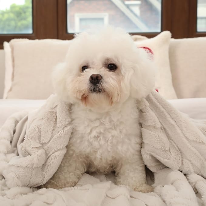 Cozy Bliss Faux Fur Throw Blanket for Couch, Jacquard Fuzzy Plush Soft Thick Winter Throw Blanket for Sofa Bed Living Room Bedroom, 90 * 90 Inches Beige