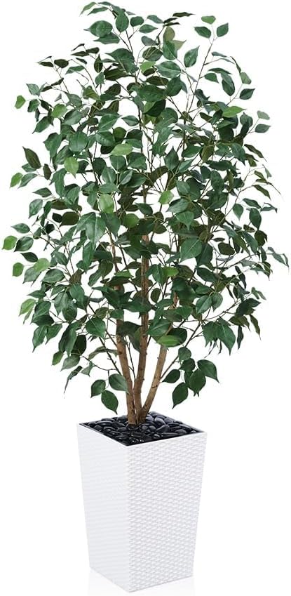 5ft Artificial Ficus Tree,Tall Faux Tree with Pebbles & Planter UV Resistant Potted Fake Plant with Silk Leaves & Real Wood Trunk,Indoor Outdoor Floor Plant for Home,Living Room,VN129