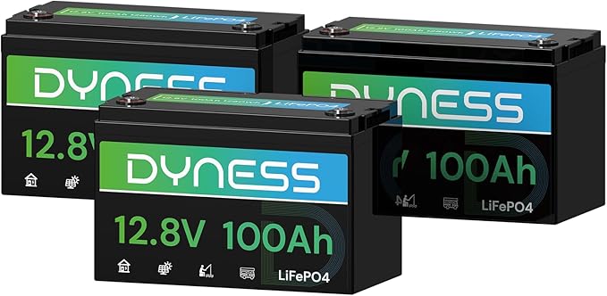 12V 100Ah LiFePO4 Lithium Battery (3 Pack) BCI Group 31 with Low-Temp Protection, A+ Grade Cell Built-in 100A BMS, 12 Volt Lithium Battery Perfect for RV, Solar System, Off-Grid, Home Energy