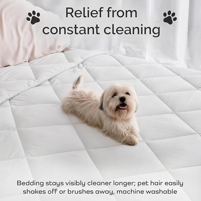100% Viscose Derived from Bamboo Comforter, Cooling Comforter, Duvet Insert, Breathable, Extra Fluffy, Lightweight Comforters, Oversized King