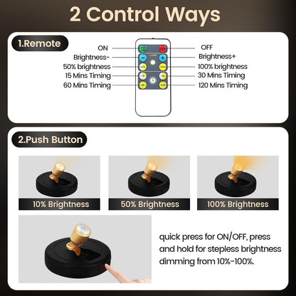 Rechargeable Spotlight, Battery Powered Picture Lights with Remote, Dimmable Plant Spot Light Indoor, Cordless Accent Lighting, LED Uplight for Tree Dartboard Decor Painting Artwork Photo