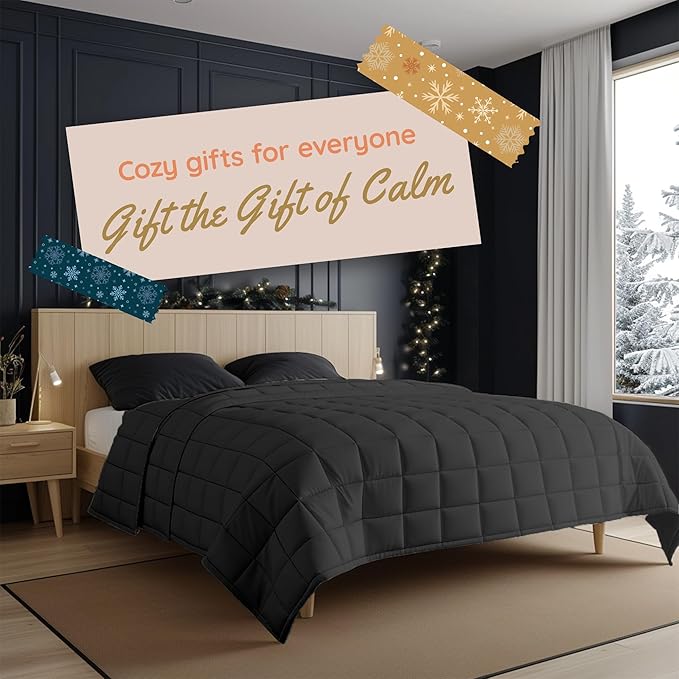 HomeSmart Queen Size Weighted Blanket 20lbs – Premium Quality All Season Blankets - 20 lbs Dark Grey