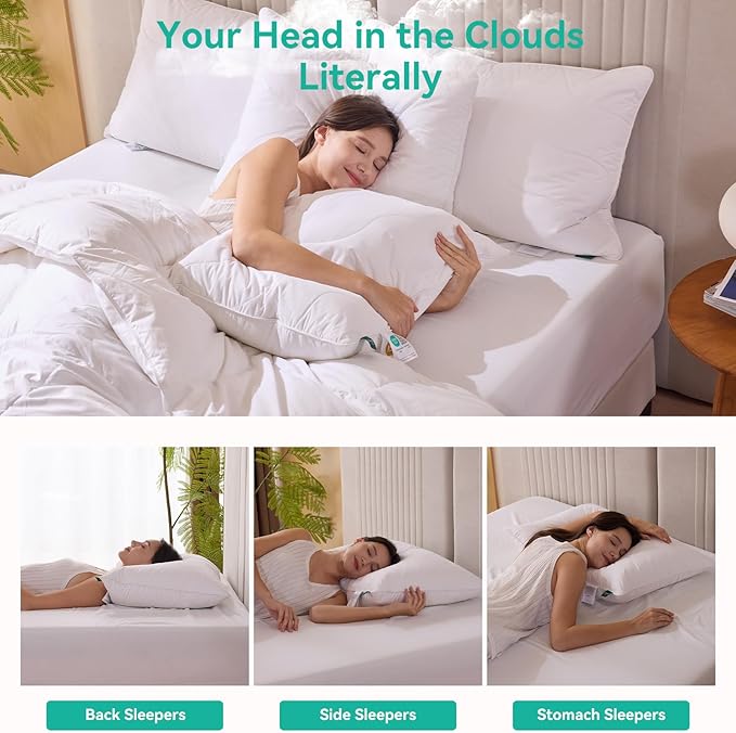 Three Geese White Goose Feather Down Pillows Standard Size, Cotton Pillows Set of 2-100% Cotton, Medium Firm,Soft Support