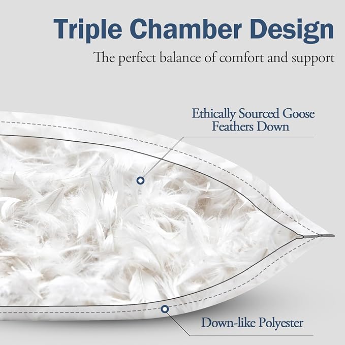 BPC Goose Feather Down Pillows Queen Size Set of 2, Luxury Hotel Collection Bed Pillows for Sleeping, 100% Organic Cotton Cover, Fluffy and Soft Support Surround Fill Polyester, Medium Firm, 20"x30"