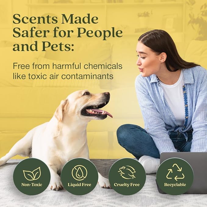 Enviroscent Non-Toxic Air Freshener for Home | Liquid Free Diffuser | Home Fragrance Lasts Over 30 Days | Kit includes 1 Mango Wood Stand & 1 Scent Stix Refill (Lemon Leaf & Thyme)