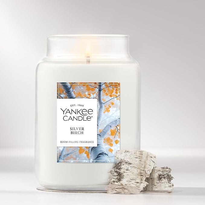 Yankee Candle, Silver Birch Fall Scented Candle, 22oz Large Jar with up to 150 Hour Burn Time