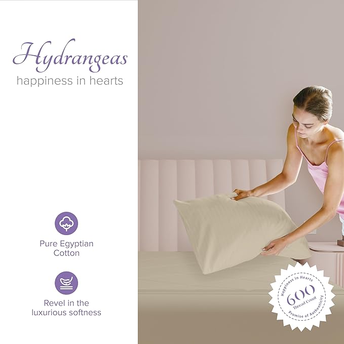 Carressa Linen 100% Egyptian Cotton Pillow Cases Queen Size Set of 2 - Luxury 600 Thread Count Sand Standard/Queen Size Pillowcases, Silky Soft, Cooling Sateen Weave Hotel Quality Bed Pillow Cover