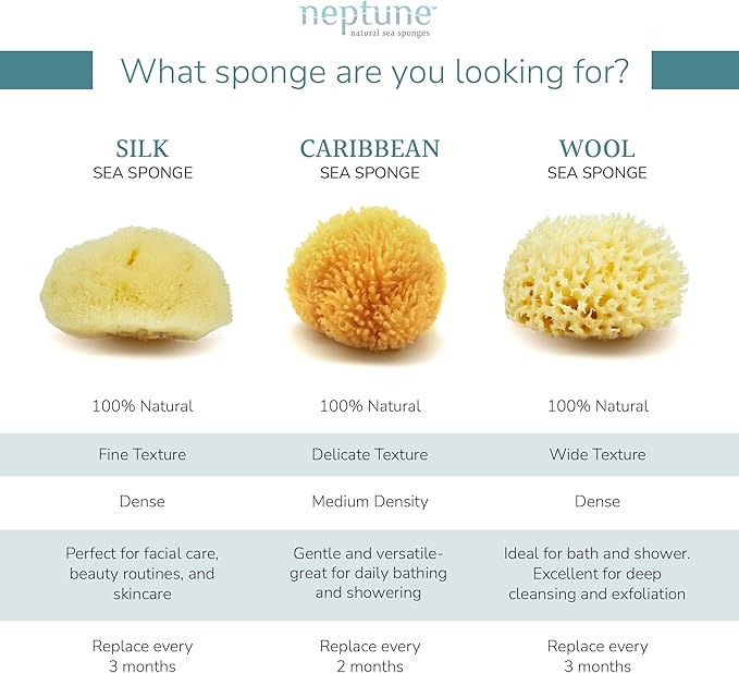 Neptune Sea Wool Sponge – Natural Mediterranean Bath Sponge, Hand-Cut, Extra-Large, Approx. 8-9", Gentle Exfoliation for Body & Skincare
